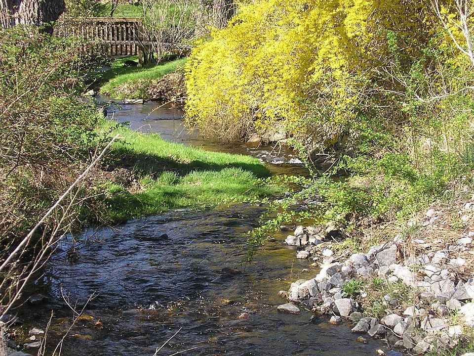 Stream view from street