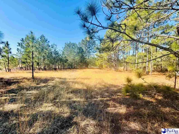 Coastal Ln, Hartsville, SC 29550