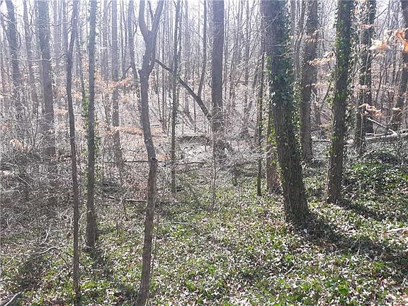 3rd image of 558 Hickory Wood Dr