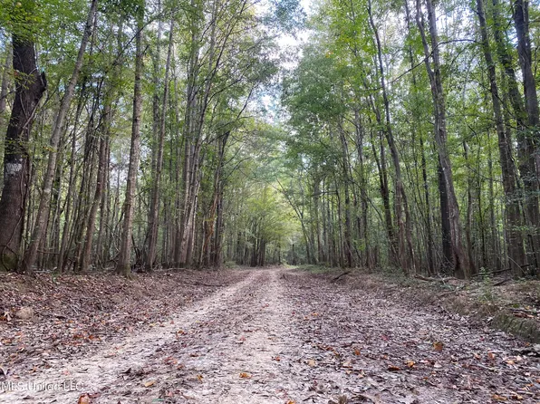 Cedar Creek Rd, Lucedale, MS 39452