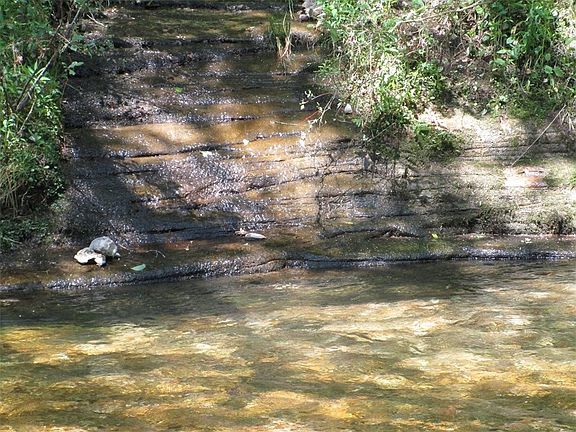 4th image of 548 County Rd