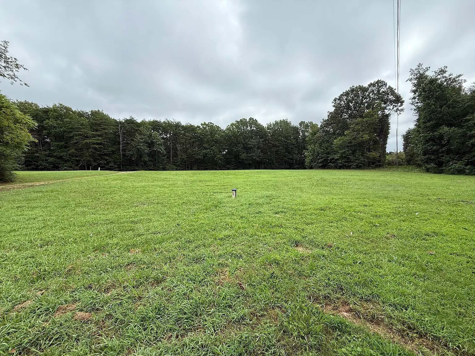 3 bed, 1536 sqft, $1,800 — Photo 3
