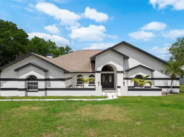 705 Chancellar Dr, Lutz, FL 33548
