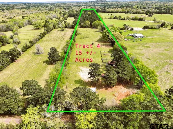 Ginger Rd Tract 4, Gilmer, TX 75644