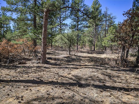 5th image of 17990 King Road