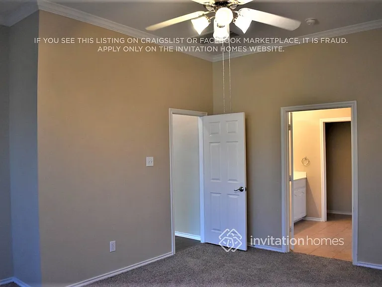 3247 Serpis — Photo 24