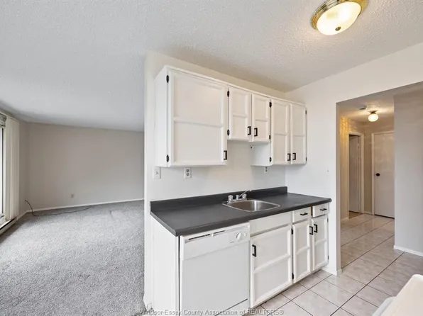 3936 Wyandotte St E #312, Windsor, ON N8Y 4V1