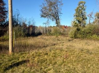 4934 W Cedar Lake Rd, Greenbush, MI 48738