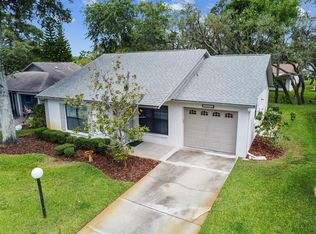 11513 Scotch Pine Dr, New Port Richey, FL 34654