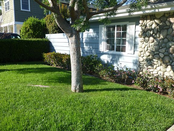 Front lawn area