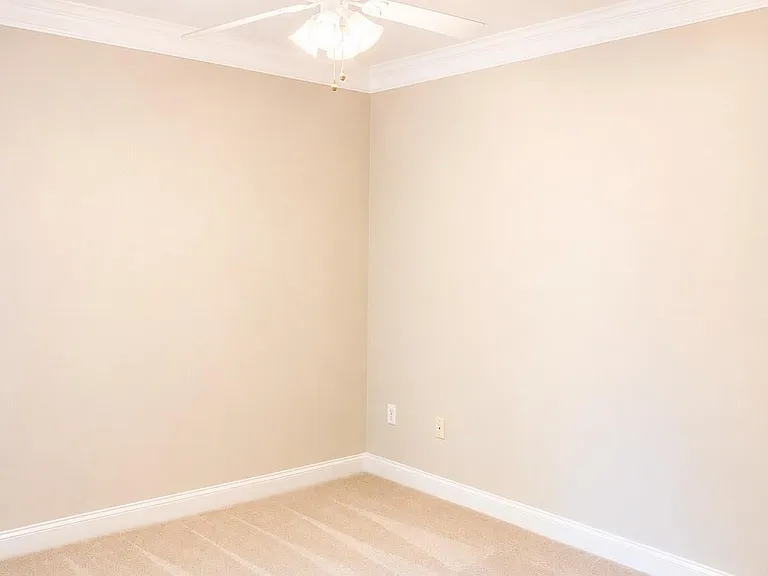 785 Magnolia Ave — Photo 11