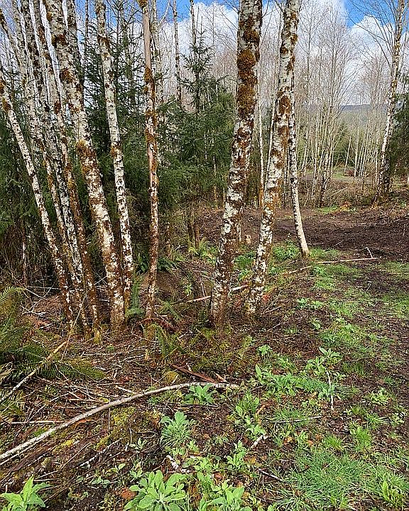 2nd image of 68 S Valley Rd