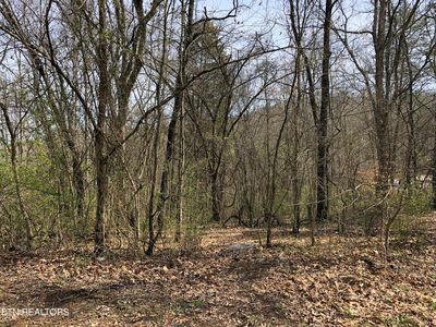 Big Chief Skyview Dr, Sevierville, TN, 37876