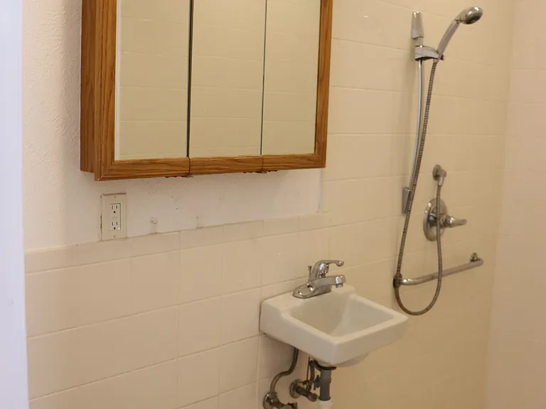 Main level bathroom, walk-in shower.