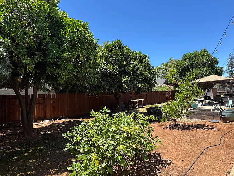 Backyard Garden Space w/fruit trees