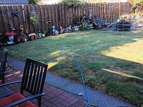 Back yard 