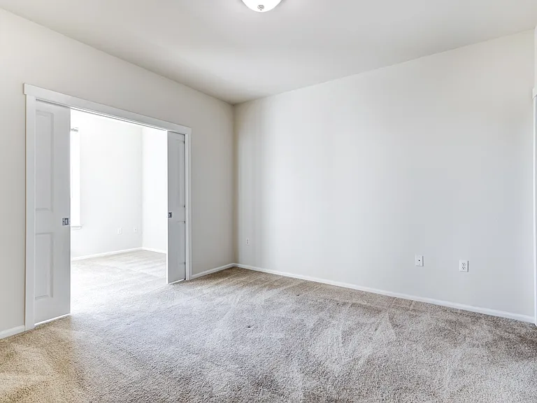 Apex — Photo 15