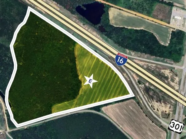 64.05 Acres Hwy #301, Register, GA 30452