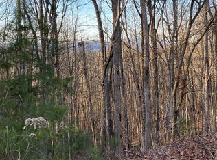 10 Price Rd, Blue Ridge, GA 30513