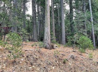 1133 Ponderosa Way, Arnold, CA