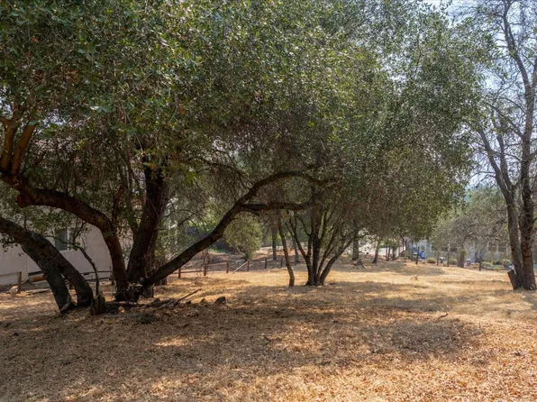 736 Live Oak Dr, Angels Camp, CA 95222