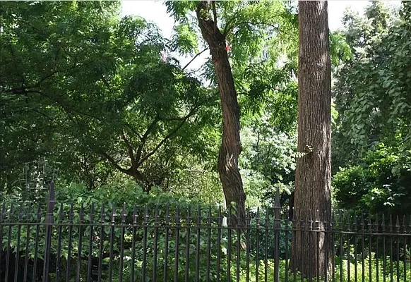 Rented by Compass | media 17