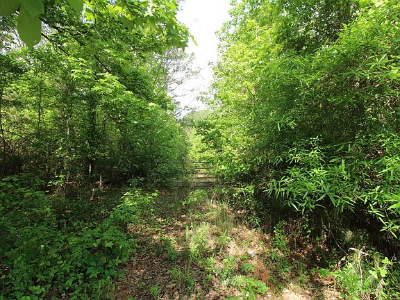 4th image of 2 Mott Rd