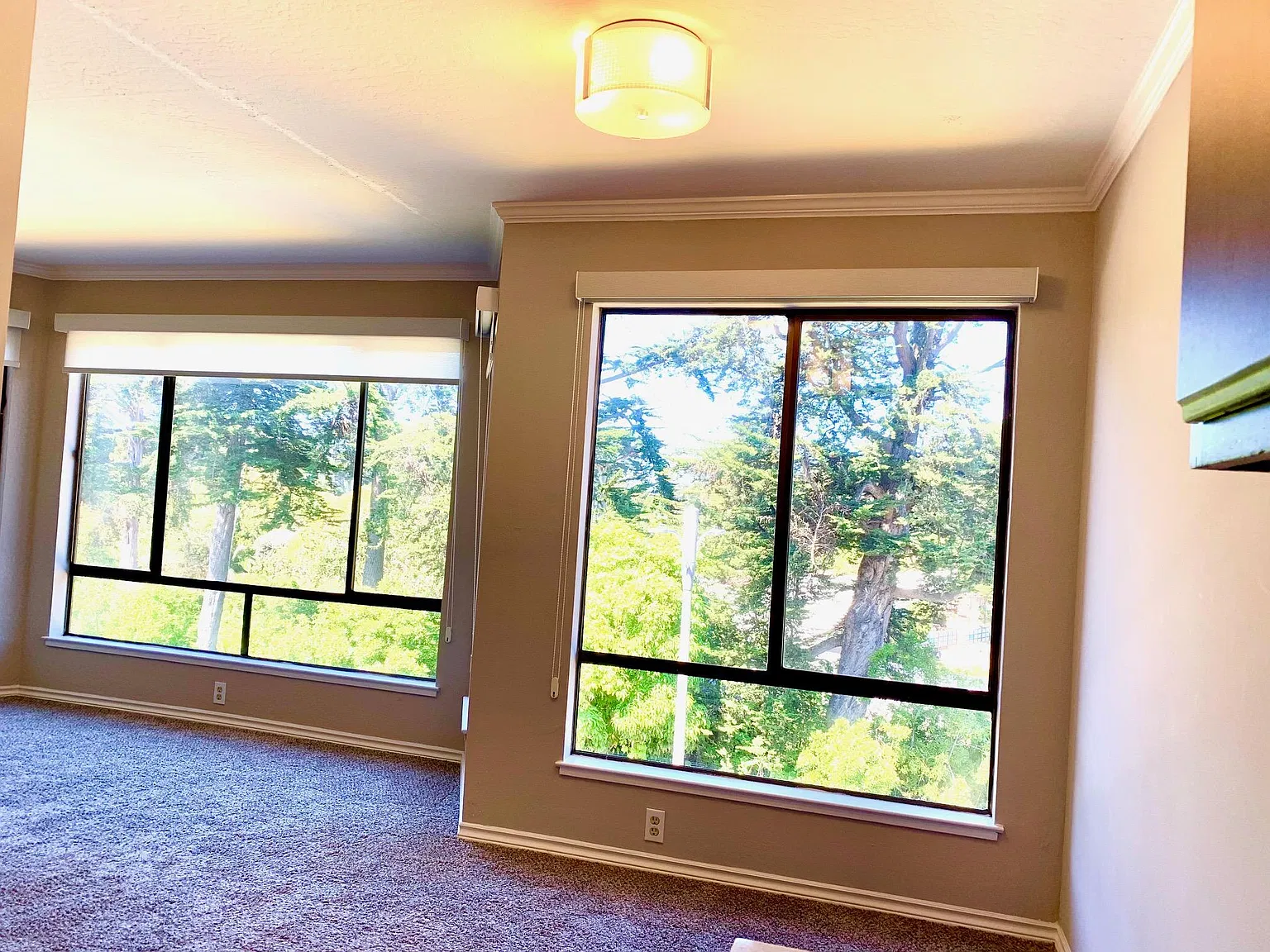 1 bed, $4,995 — Photo 4