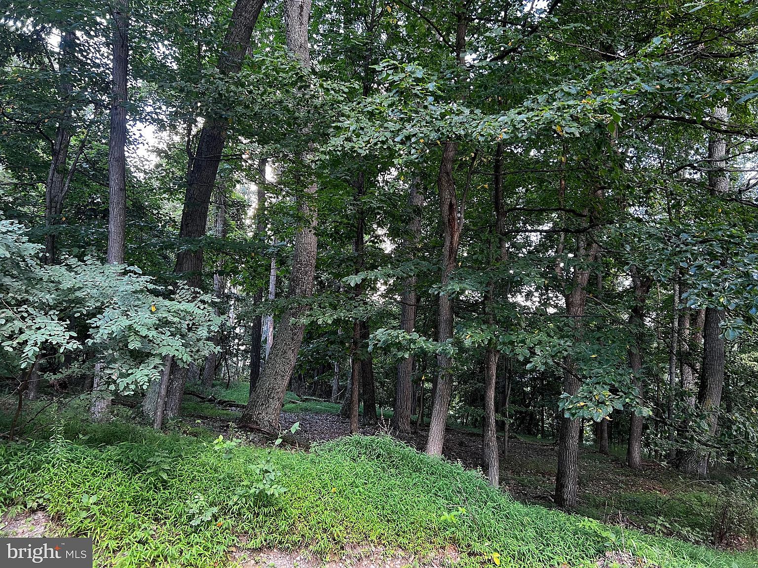 40 High Knob Rd, Old Fields, WV 26845 Zillow