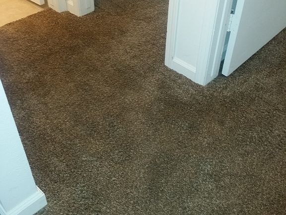 5th image of 2812 N Half Moon Dr #D