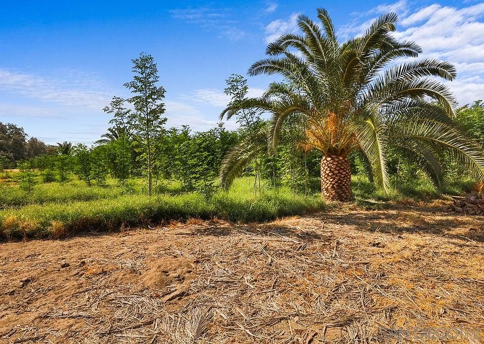 2nd image of 2050 Borrego Springs Rd Lot 14