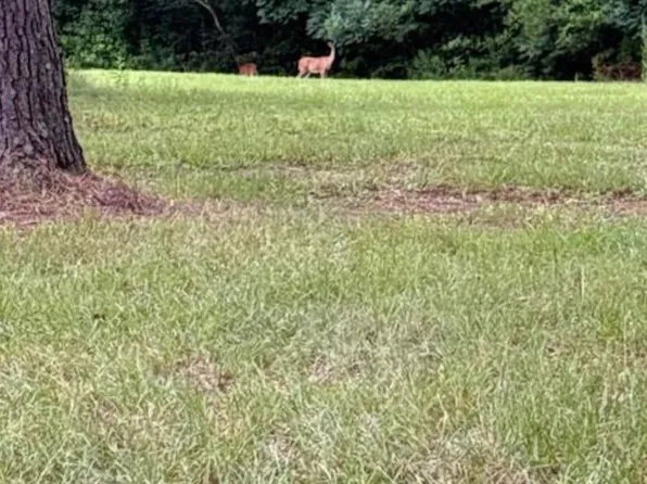 22 Tbd La Hwy, Springfield, LA 70462