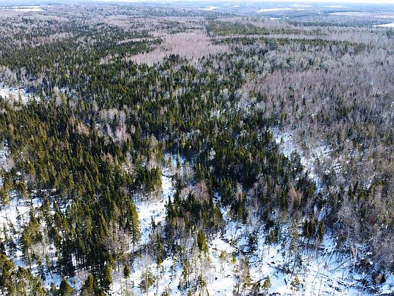 5th image of County Line Rd
