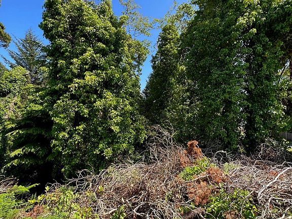 5th image of Tl1601 Sw Dune Ave