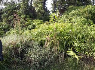 11-2120 Omeka #77, Volcano, HI 96785