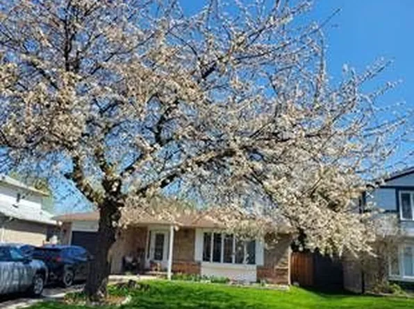 71 Grassington Cres, Brampton, ON L6S 1Z5