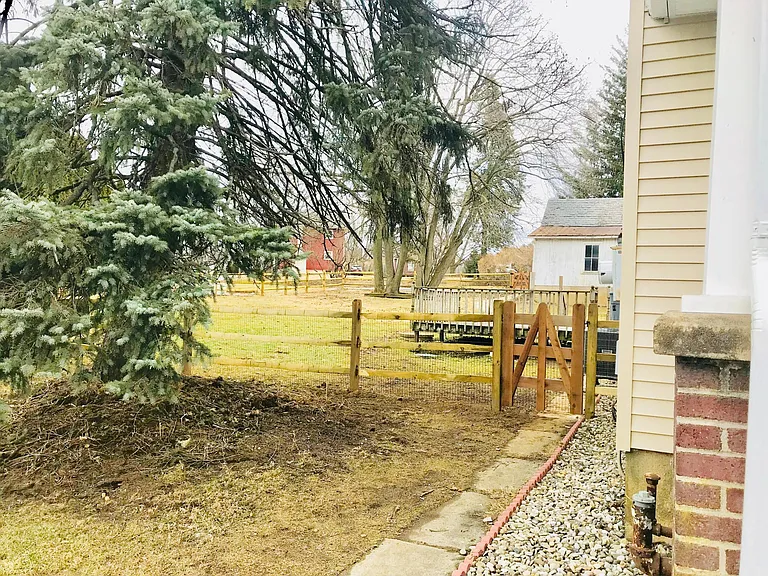 Side of home and yard