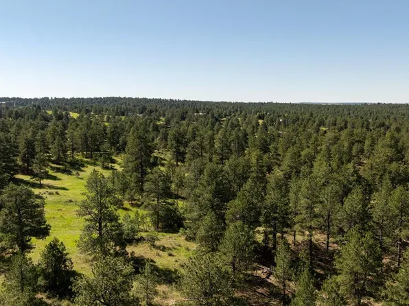 10348 Pine Song Place, Parker, CO 80138