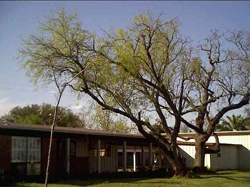 2nd image of 910 WILSHIRE DR