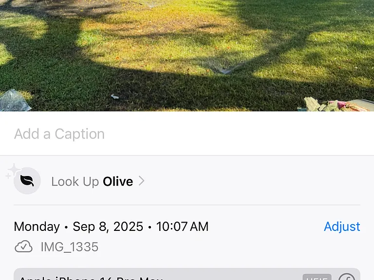 907 W Huntington Dr #B — Photo 1