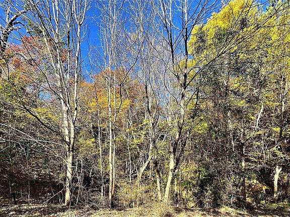 2nd image of 15969 Crazyhorse Dr