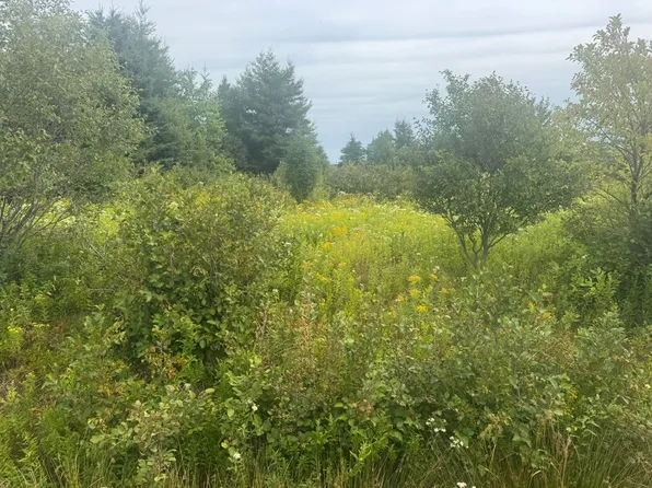 735 Clements Rd, Saint Andrew's Parish, PE C0A 1W0