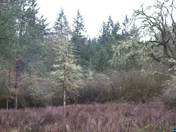 Next To 43458 Rogers Mountain Loop, Scio, OR 97374