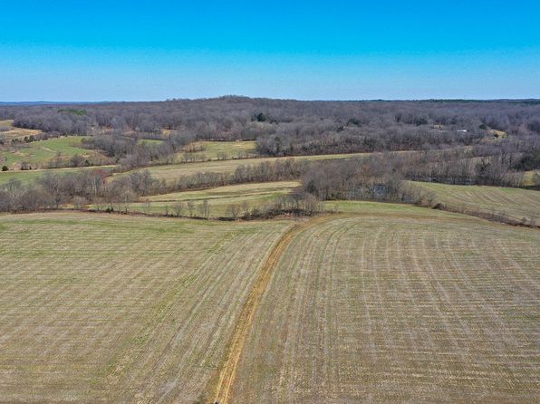0 Dale Rd, Henry, TN 38231