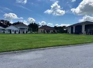 317 Nolane Ln #169, Polk City, FL 33868