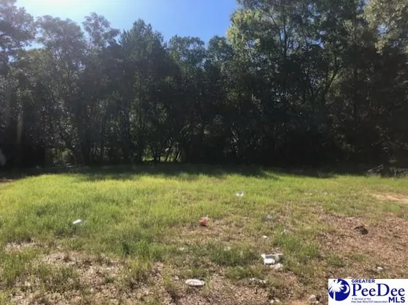 317 Brewer Ave, Hartsville, SC 29550