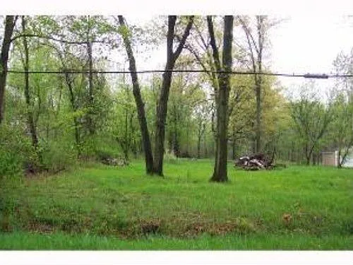 1347 Whitehouse Spencer Rd photo 1
