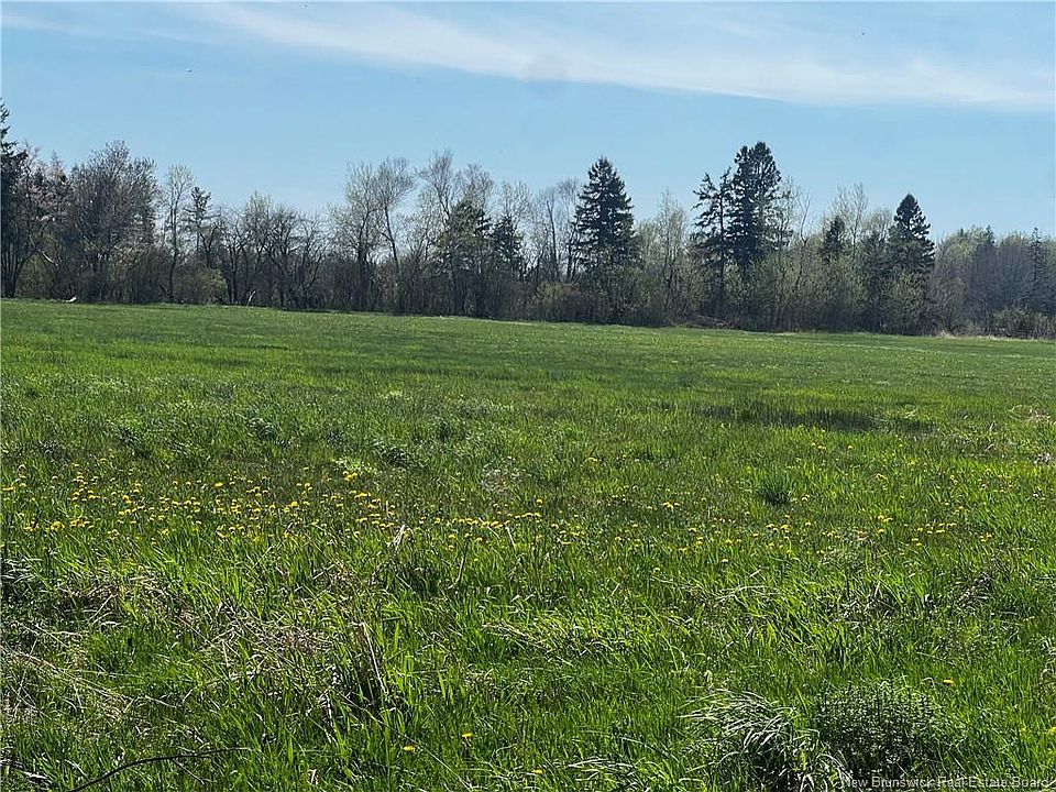 2nd image of Old Mill Rd