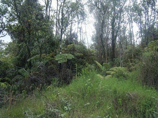 2nd image of Omeka Rd Lot 28