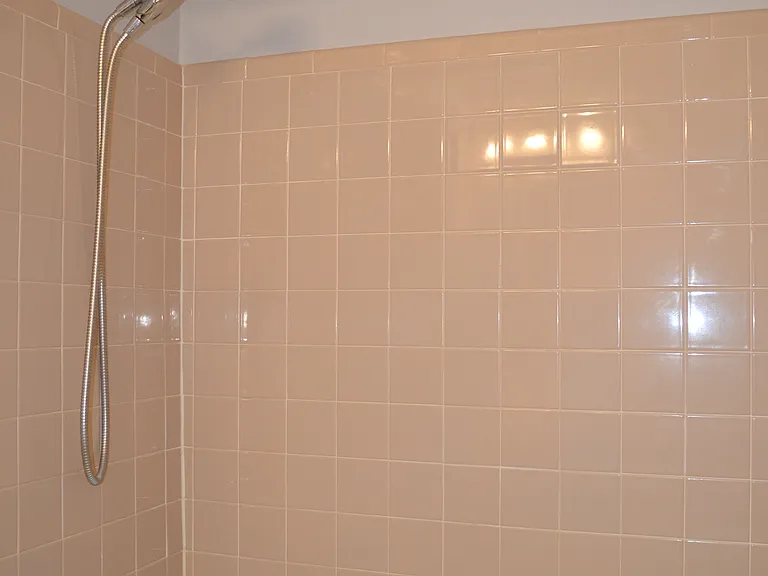Hallway Bathroom